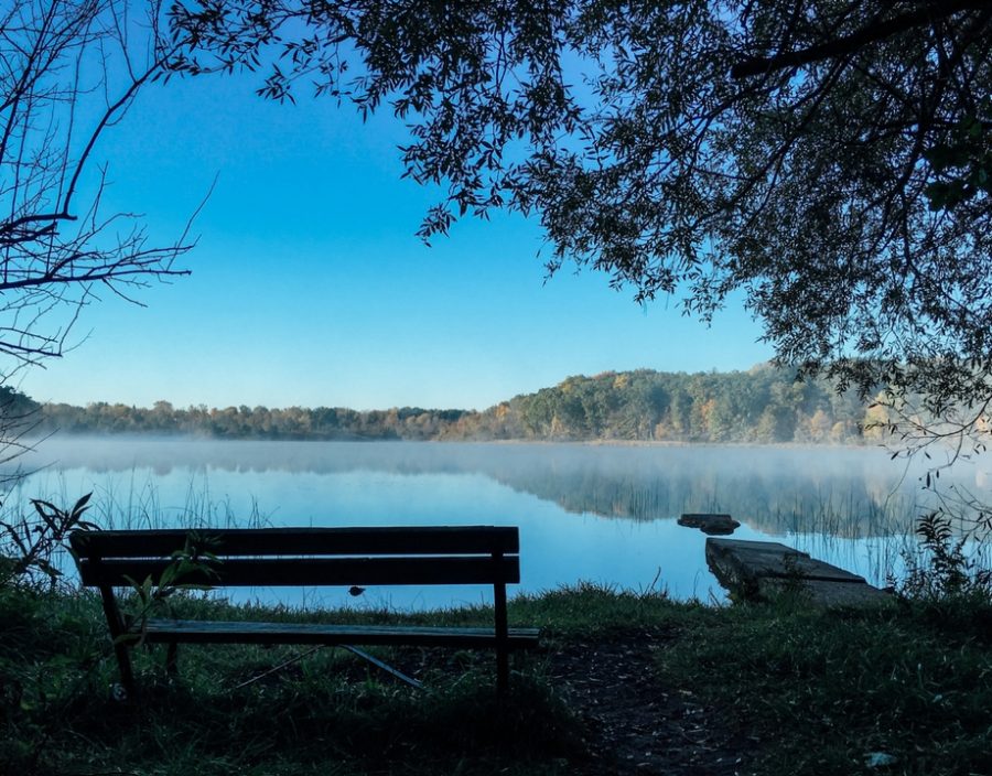 bench_lake